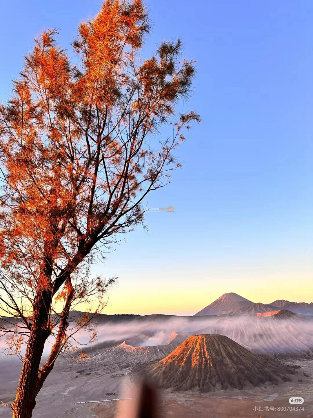 Jeep Sunrise Bromo